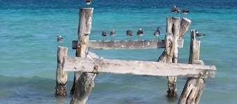 2 Br-house in Puerto Morelos With Stunning View