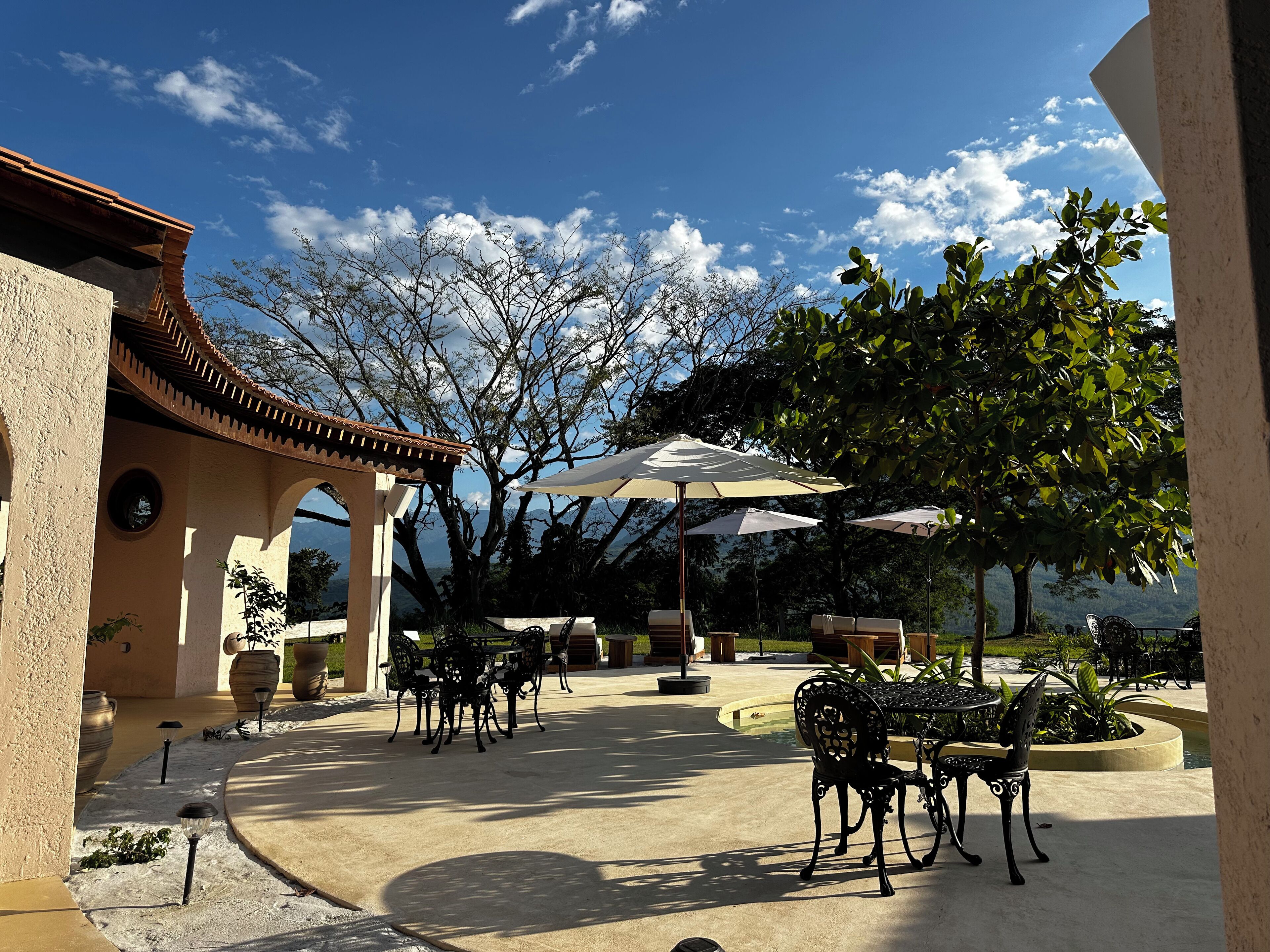An outdoor patio with tables and chairs, surrounded by trees and a building with a tiled roof.