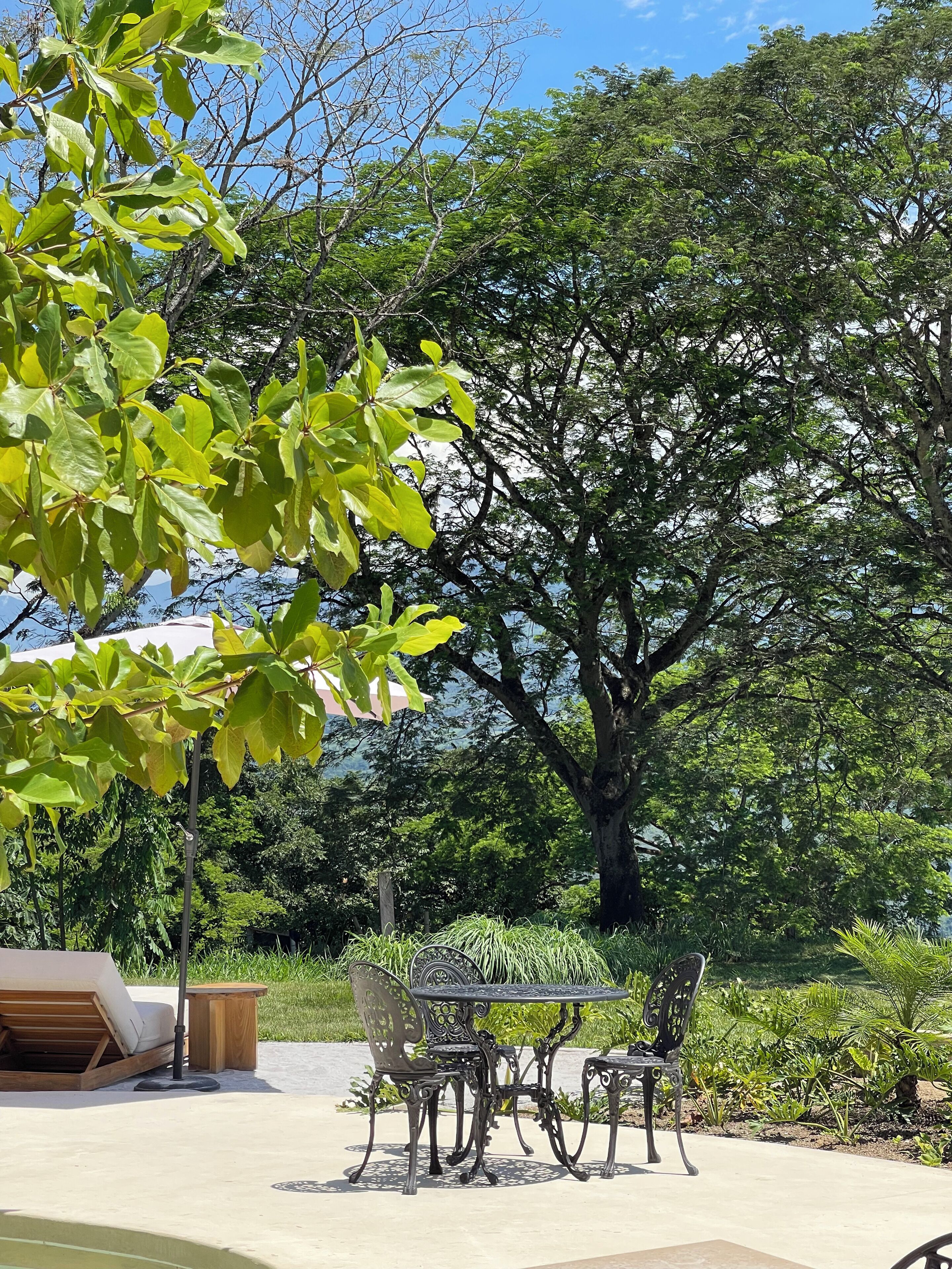 A patio area with a table and chairs, surrounded by lush greenery and trees.