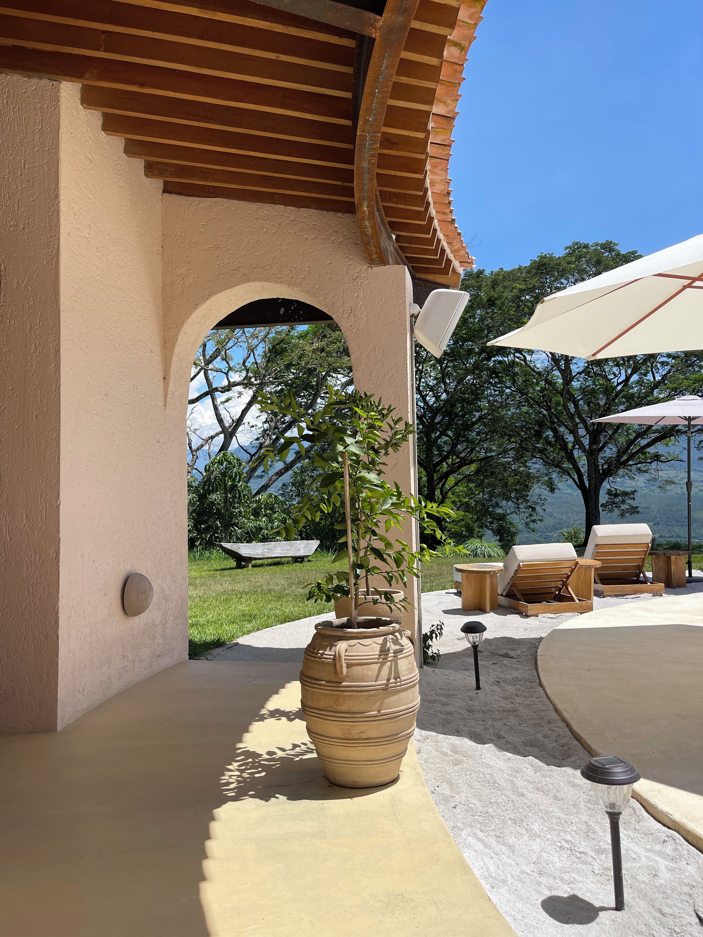 A covered outdoor area with a pergola, a large planter with a tree, lounge chairs, and umbrellas.