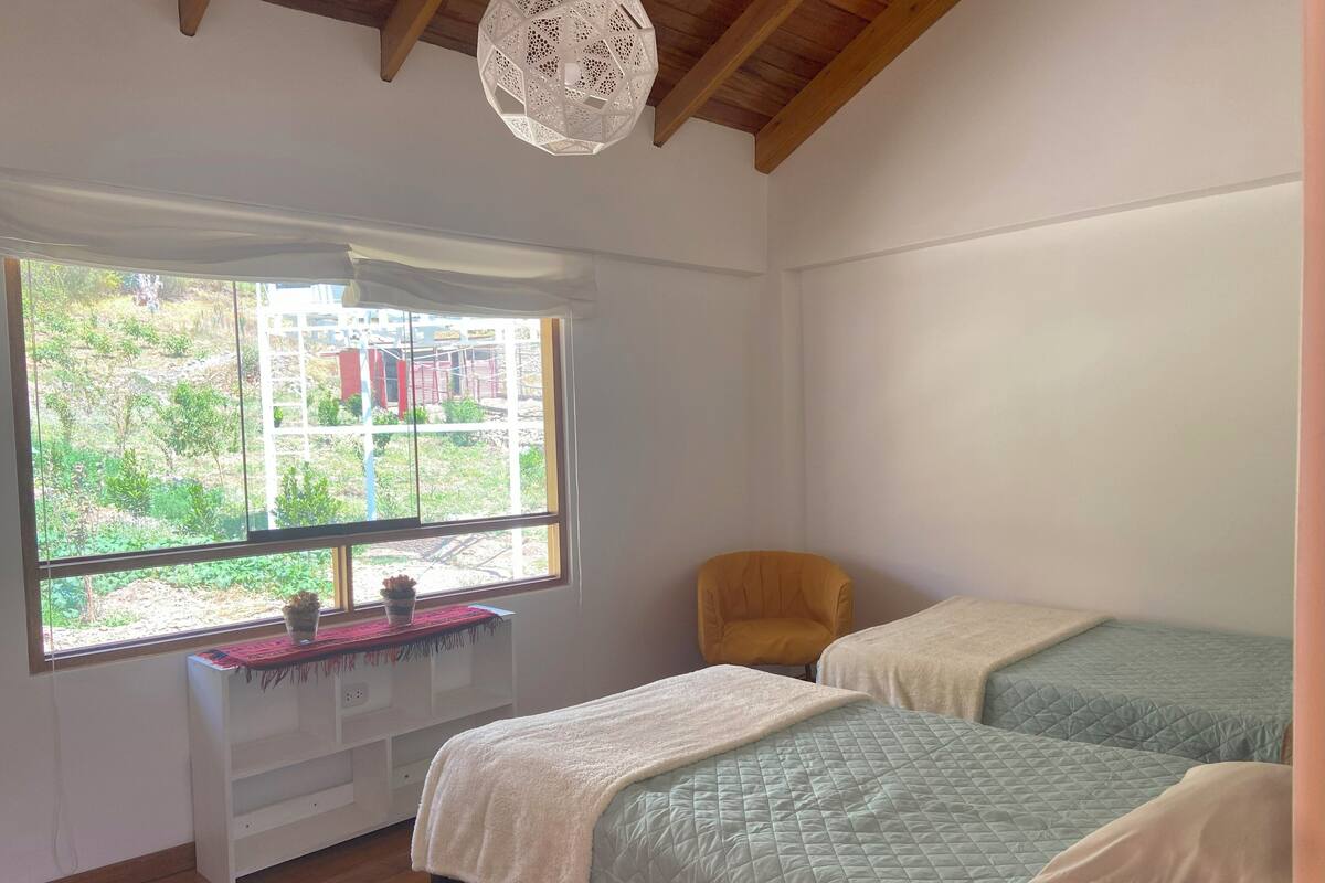 Une chambre avec deux lits, une fenêtre donnant sur un paysage verdoyant et des bâtiments, une chaise et une petite table avec une plante.