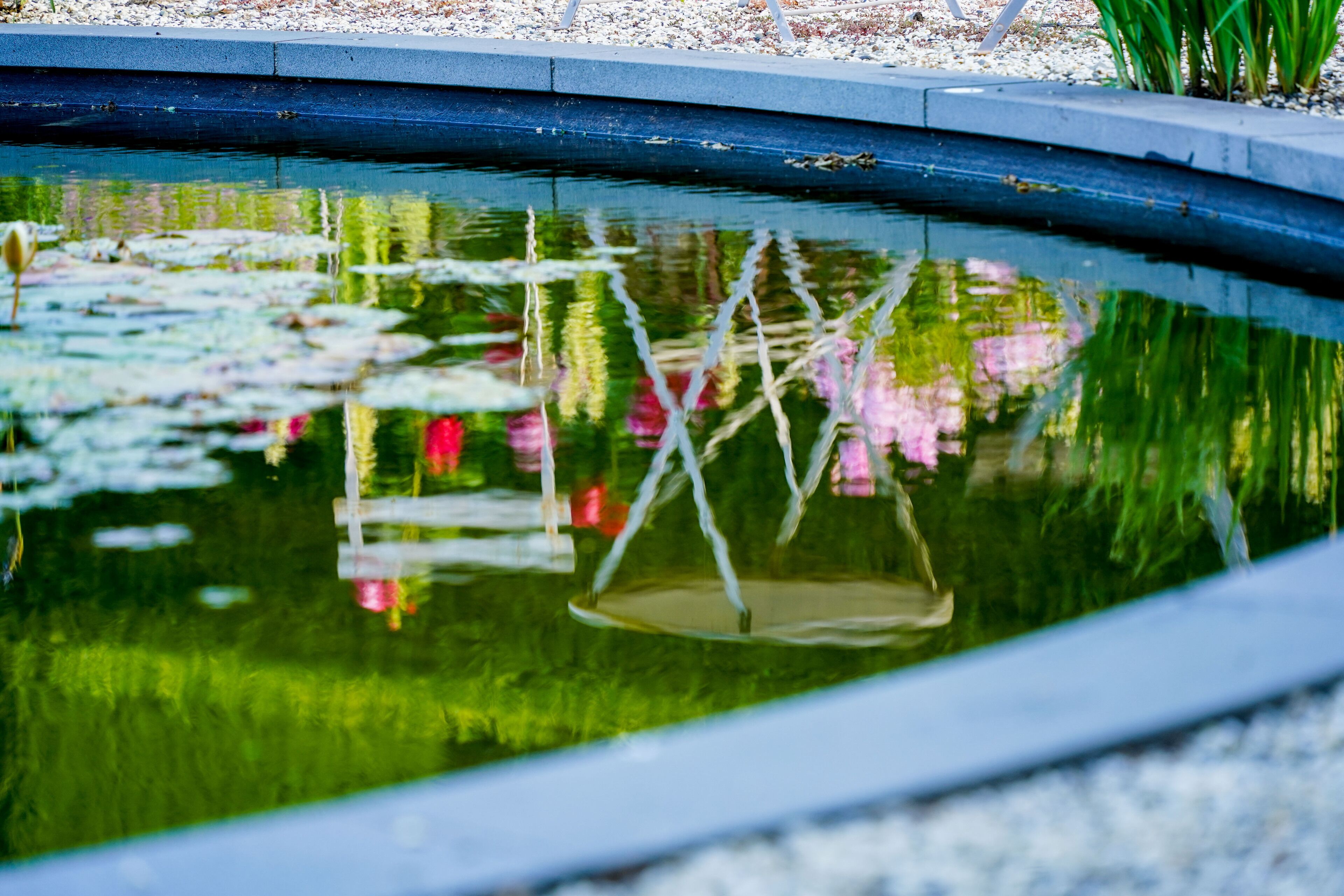 A pond with lily pads and reflections of surrounding vegetation.