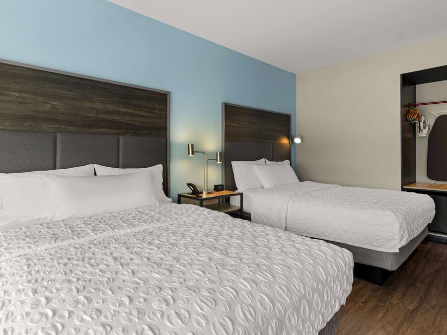Habitación de hotel con dos camas, una mesita de noche con lámpara y un espejo.