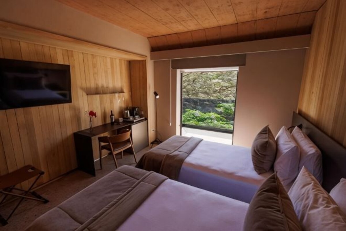 A room with two beds, a desk, a chair, a TV, and a large window with a view of greenery.