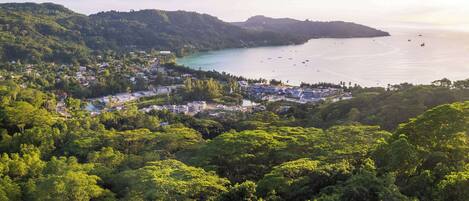 A coastal town with dense greenery, a clear sky, and a calm sea.