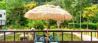 Pocheon Hanadulset pet Caravan