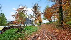 A rural road with autumn leaves, a stone wall, and a house with a gabled roof.