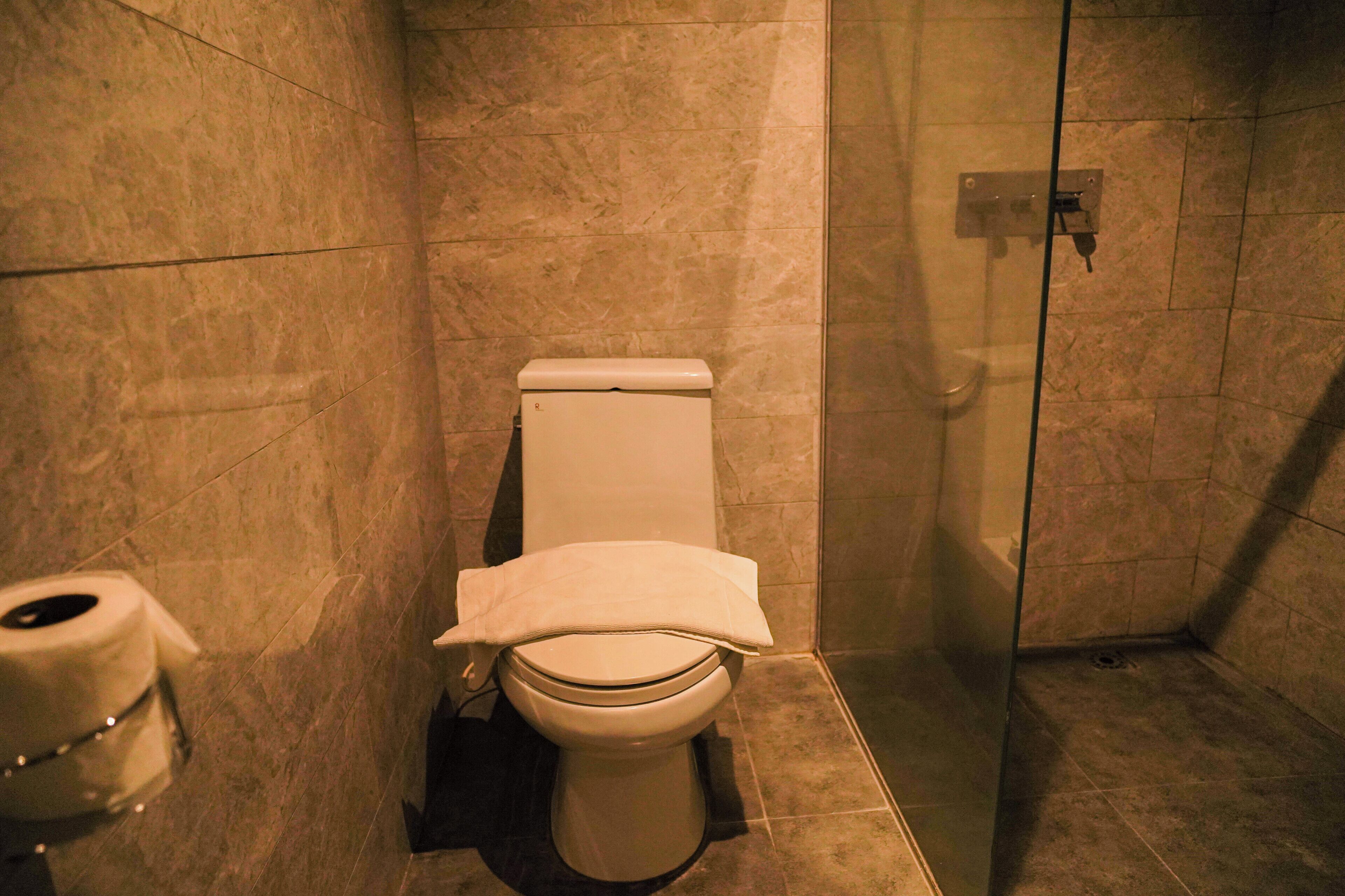 A bathroom with a toilet, a shower, and a toilet paper dispenser.
