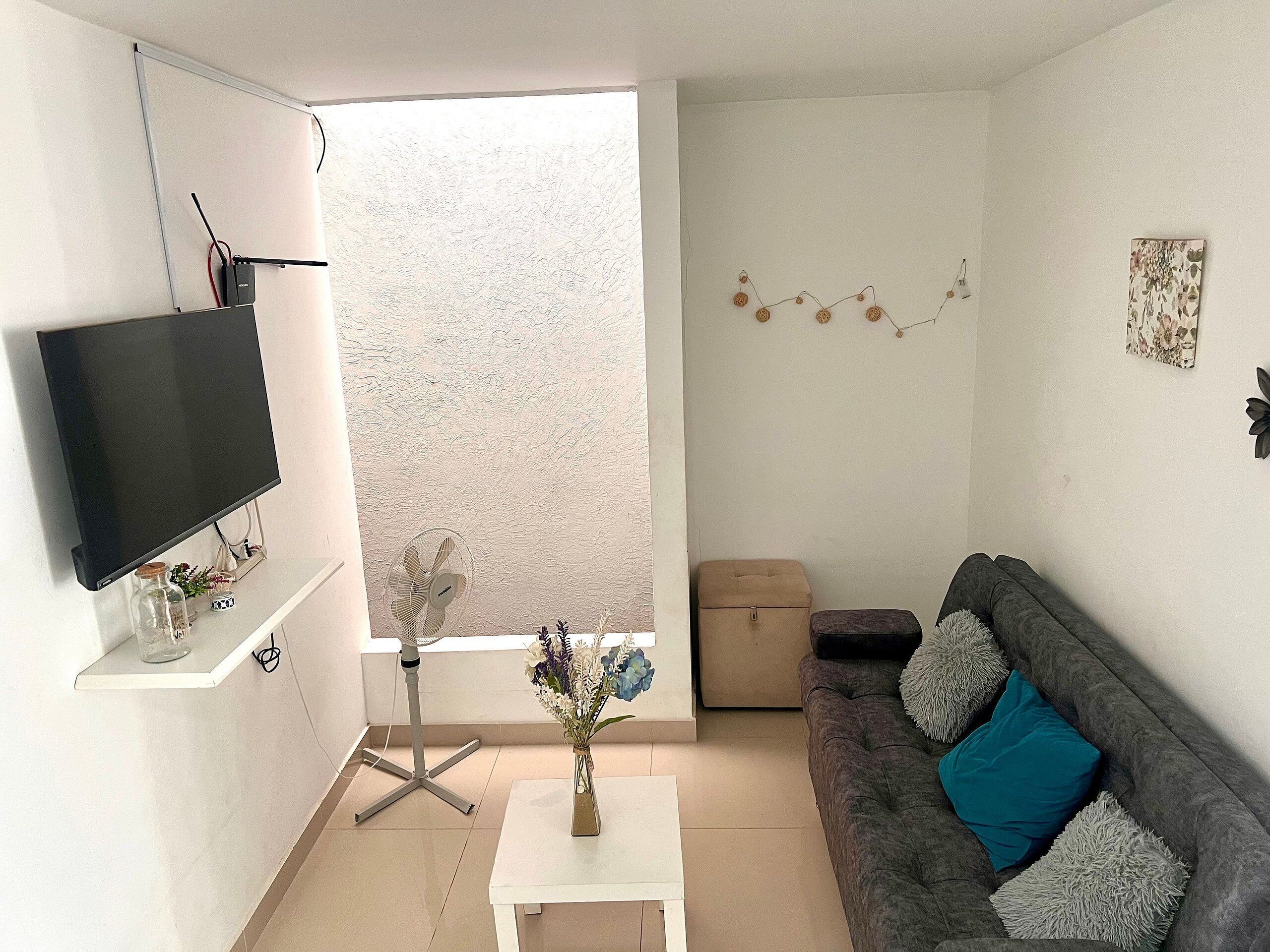 Basic Apartment | Living area | TV