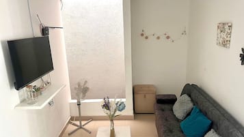 Basic Apartment | Living area | TV