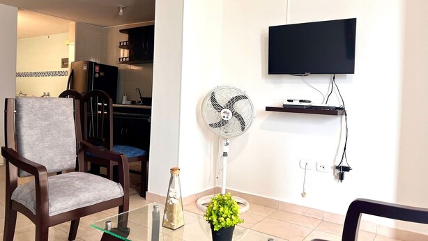 Een woonkamer met een televisie, een ventilator, een glazen tafel, een stoel en een plant in pot.