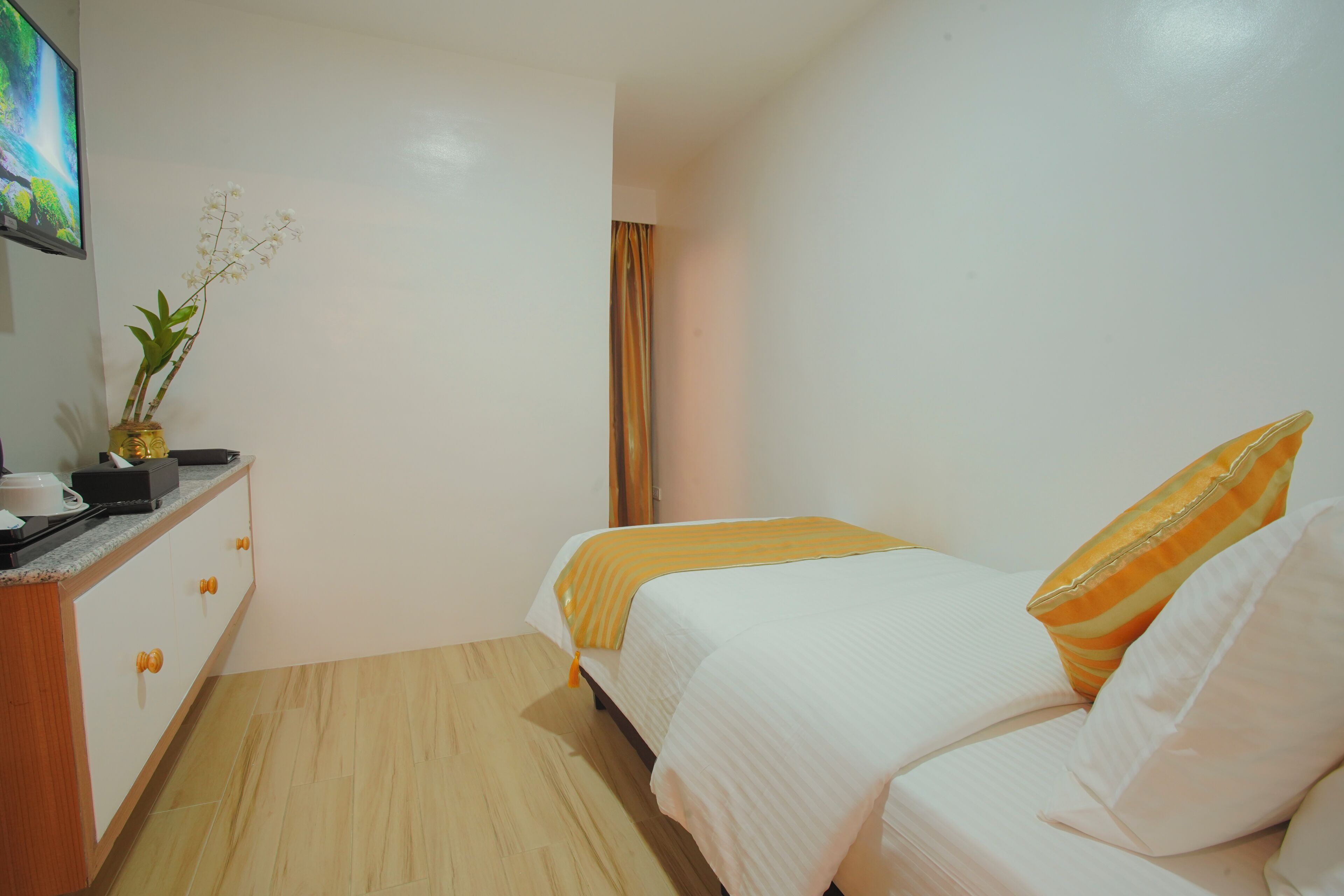 A hotel room with a bed, a dresser, a television, and a plant.