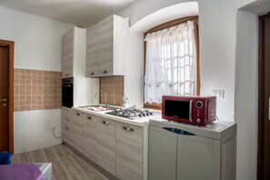 Fridge, microwave, oven, stovetop - Apartment 'La Vecia Casa Apartament' with Mountain View and Shared Terrace (Denno)