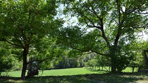 A park with trees, a grassy field, and a metal structure.