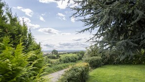 Un paisaje verde exuberante con un camino de grava que atraviesa un campo de helechos y arbustos.
