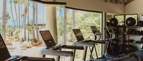 A gym with treadmills, exercise balls, and a view of palm trees.
