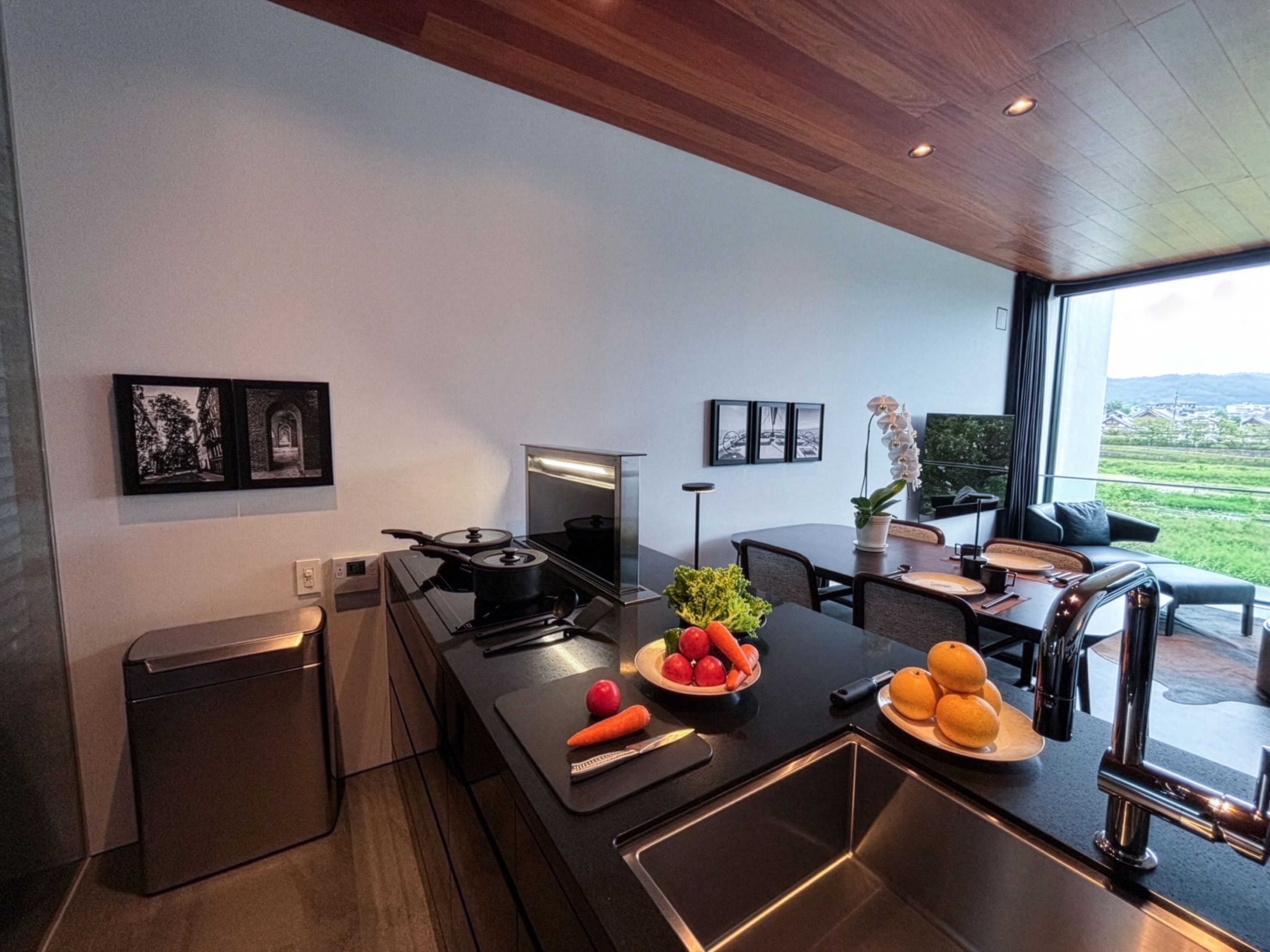 A modern kitchen with a stove, sink, and dining area. There are framed pictures on the wall, a potted plant, and a view of the outdoors.