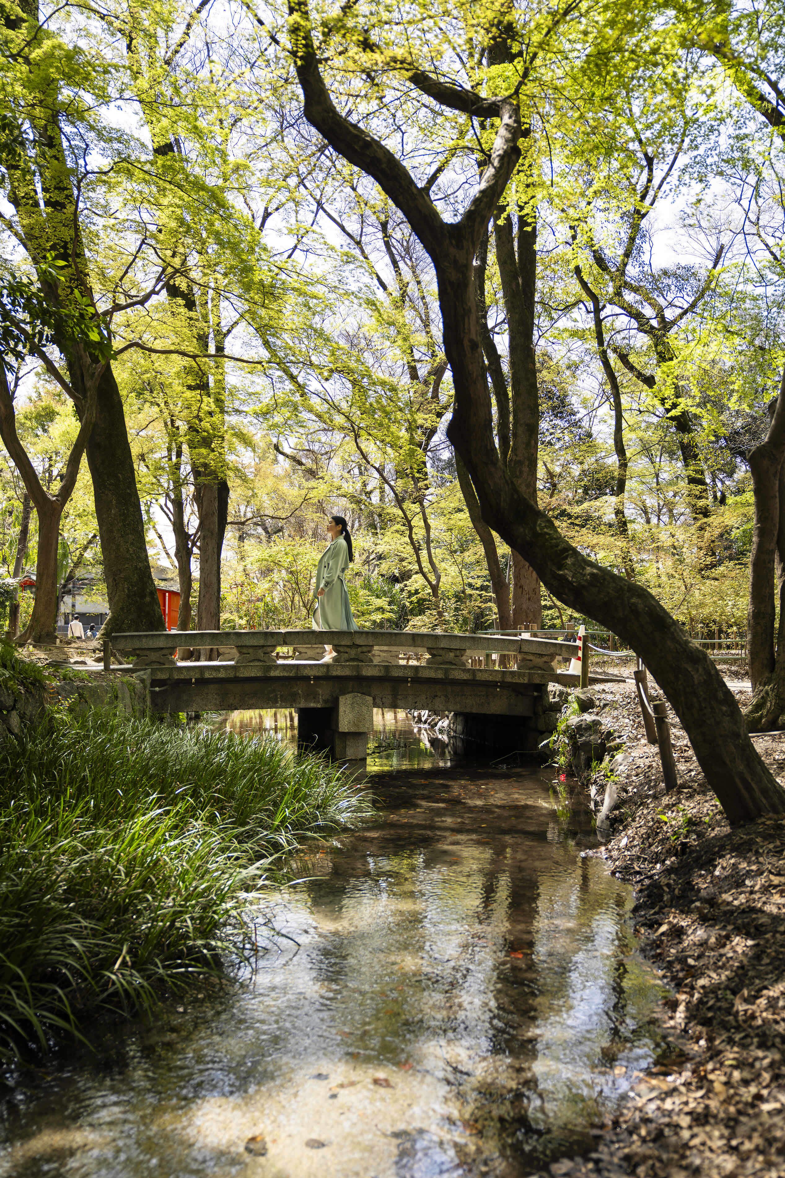 A wooden bridge over a stream in a forested area with trees and greenery.