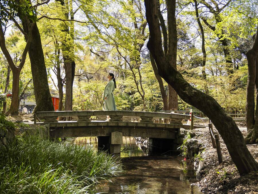 A wooden bridge over a stream in a forested area with trees and greenery.