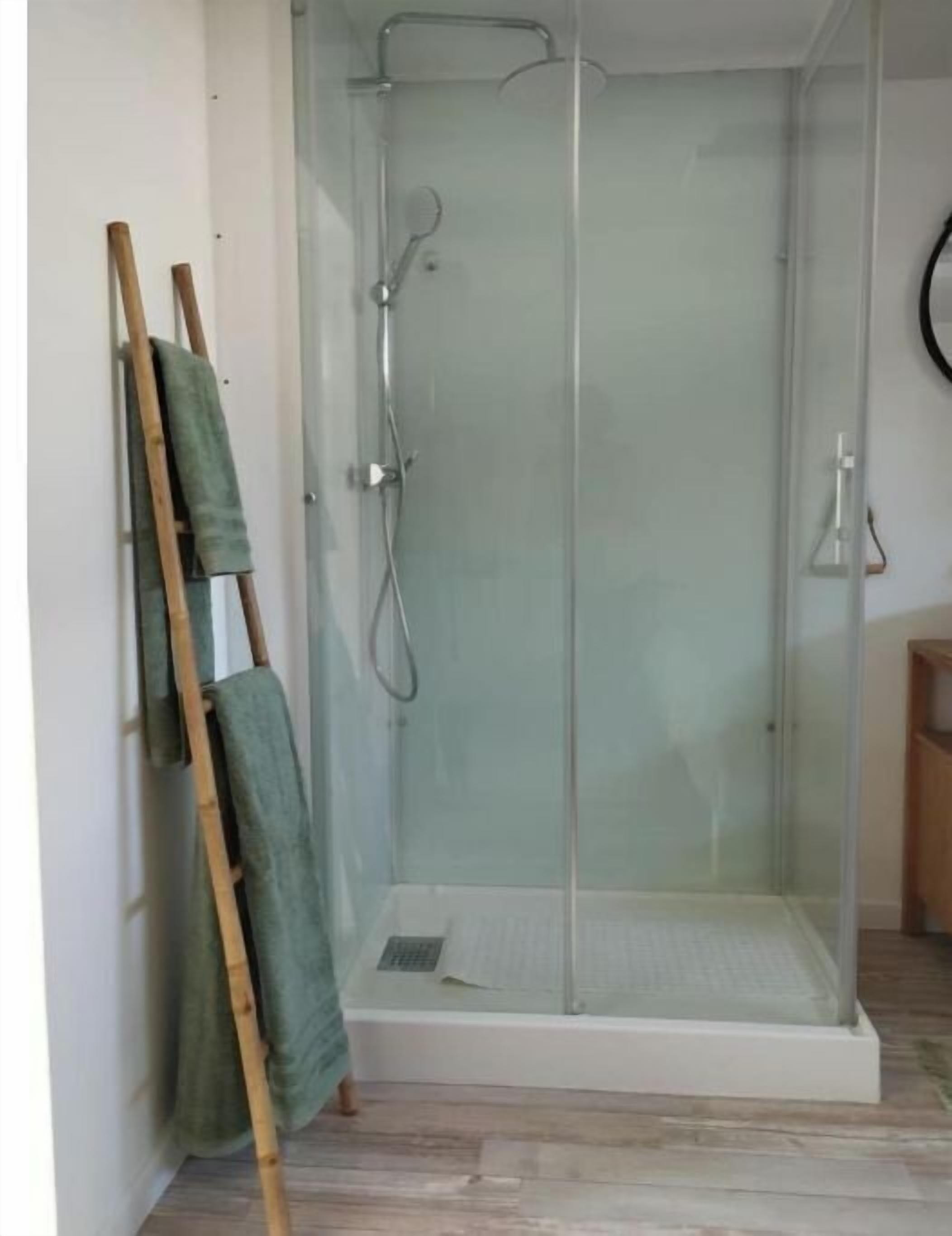 Un área de ducha con paredes de vidrio, una escalera de madera apoyada en la pared y una toalla verde colgada.