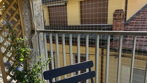 A balcony with a metal chair and a potted plant.