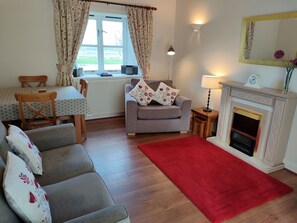 TV, fireplace, DVD player, books