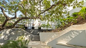 Uma escadaria leva a um edifício com fachada branca, cercado por vegetação e árvores.