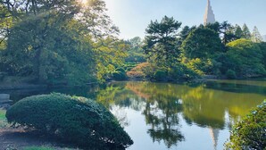 星評価なしの画像、5 / 25、ボタン