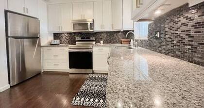 Amazing South Tampa Home