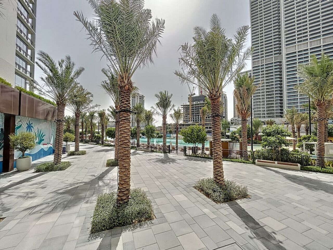 A spacious outdoor area with palm trees and a tiled walkway.