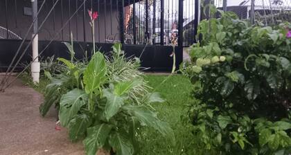 Beautiful house! family _sized, 5 minutes from downtown Santa Elena