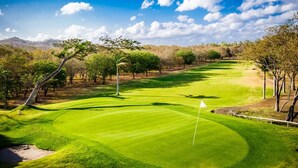 Campo de golf con un mástil de bandera, árboles y cielo despejado.