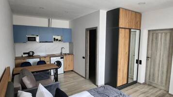 Economy Studio | Living area | 45-inch LCD TV with cable channels