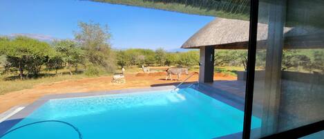 Biệt thự, 3 phòng ngủ | Hồ bơi riêng