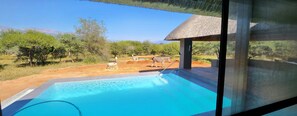 A pool with a view of zebras grazing in the distance, surrounded by trees and a clear sky. - Thandolwami Bush Lodge & Spa (Hoedspruit)