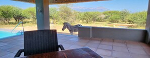 Villa, 3 Bedrooms | Terrace/patio - Thandolwami Bush Lodge & Spa (Hoedspruit)