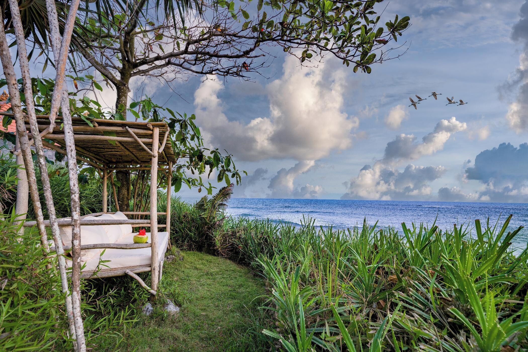 A wooden swing chair under a tree, overlooking a beach with the ocean and clouds in the sky.
