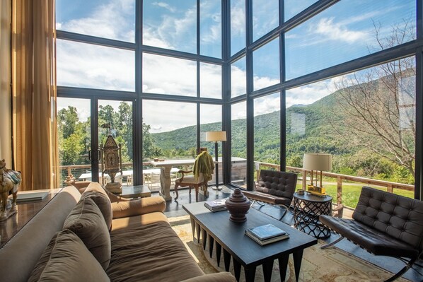 Smart TV, fireplace, books