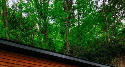Stargazing | Pet Friendly | Sleeps 4 | Fire Pit