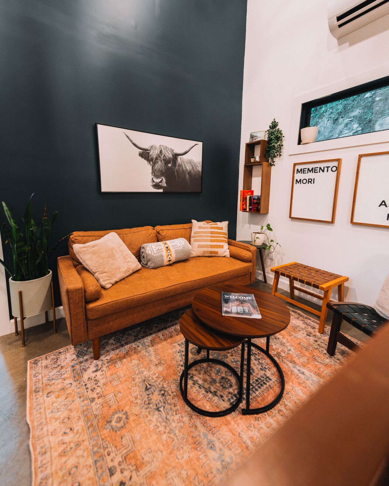 Älytelevisio, kirjoja