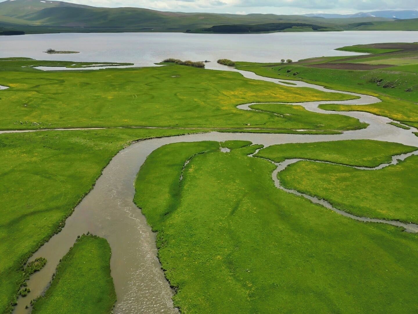 Een rivier kronkelt door een weelderig groen landschap met heuvels in de verte.