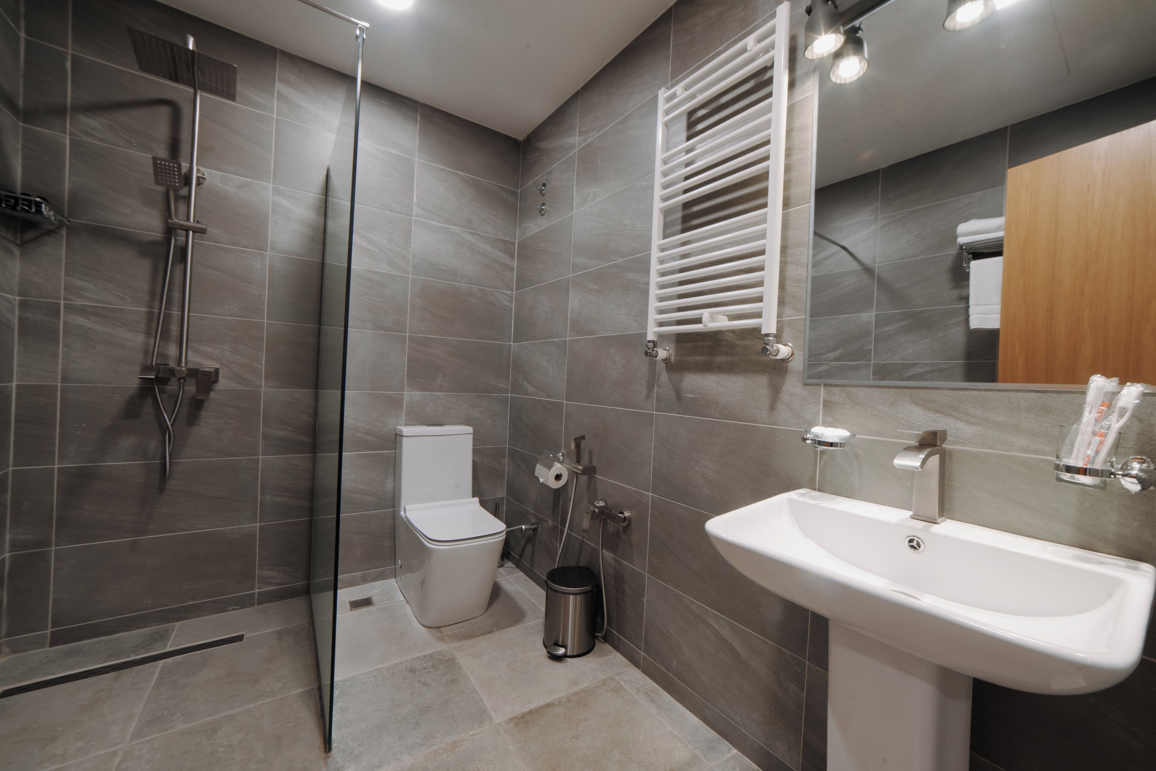 A modern bathroom with a glass shower enclosure, a toilet, a sink, and a mirror.