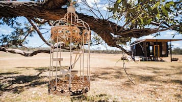 A metal birdcage hanging from a tree branch.
