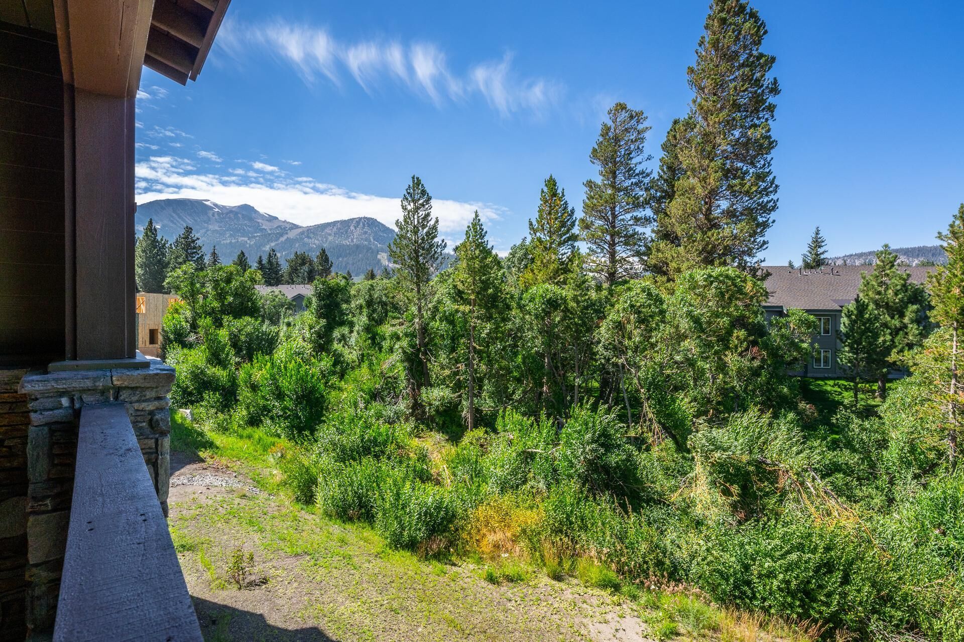 A view of a mountainous landscape with dense forest and a house in the background.