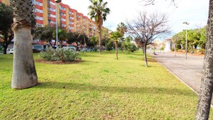 Un espace vert avec des palmiers, un sentier et un immeuble à plusieurs étages doté de balcons, visible au fond.