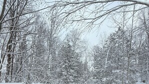 A hot tub surrounded by snow-covered trees and a wooden deck.