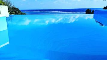 Una piscina azul cristalina con vista al océano y una palmera.