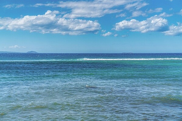 Une vue sur l’océan, avec des vagues et un ciel dégagé.