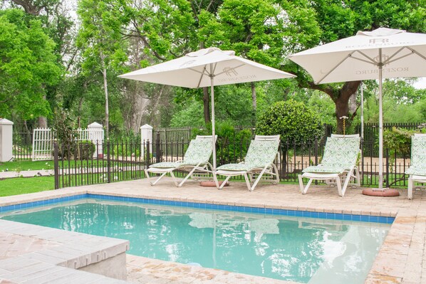 Outdoor pool, pool loungers