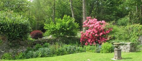 Apartment, Berbilang Katil | Kawasan hartanah